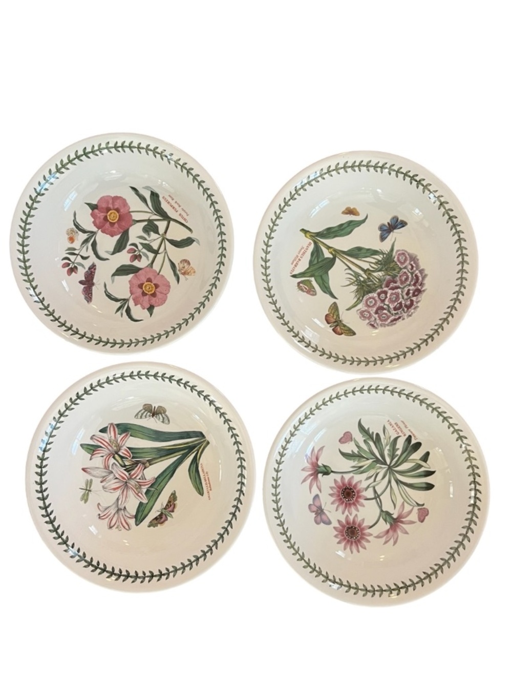 Portmeirion dining bowls